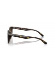 RAY BAN 